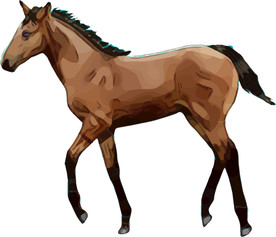 马 矢量手绘素材