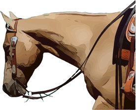 马 矢量手绘素材