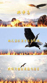 林中鸟葛林配乐成品