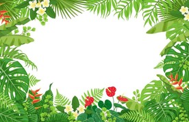 矢量绿植热带植物框架
