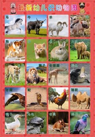 最新幼儿识动物图