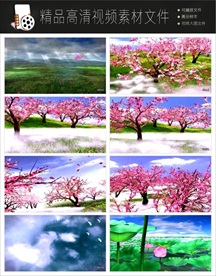 唯美浪漫迷幻欧式紫色花朵视频