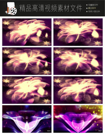 唯美浪漫迷幻欧式紫色花朵视频