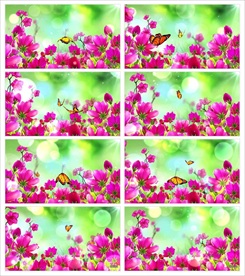 清新唯美的鲜花盛开LED视频