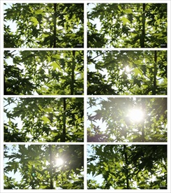 新农村农业建设视频素材