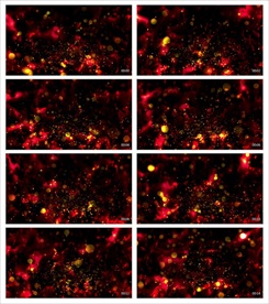 唯美梦幻朦胧光点光晕转场空镜头