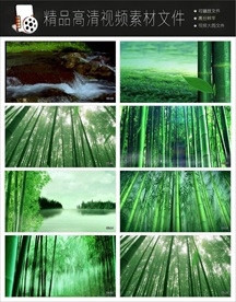 竹子动态视频模板下载