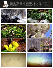 夏日微风清新唯美视频