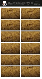 旅行旅游立体动态视频转场空镜头