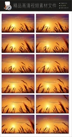 旅行旅游立体动态视频转场空镜头