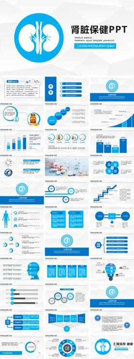 医疗医学肾脏健康动态PPT模板