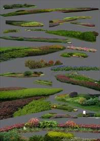 效果图所需的灌木PSD素材