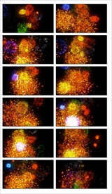 唯美大气婚礼背景视频粒子星空光