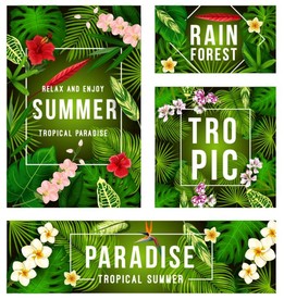 花卉绿植绿叶矢量素材