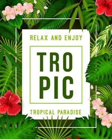 花卉绿植绿叶矢量素材