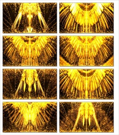 金色粒子凤凰LED视频素材