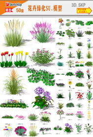 花卉植物SU模型