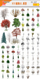 树木植物素材模型