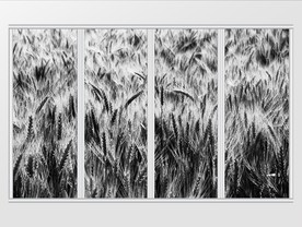 现代简约唯美黑白风麦穗移门