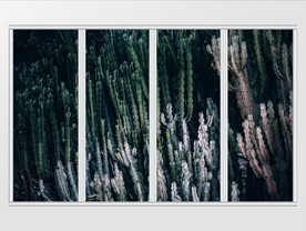 现代简约仙人掌植物移门