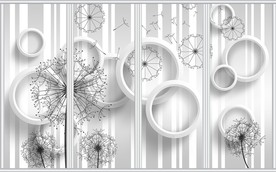 现代简约黑白蒲公英移门