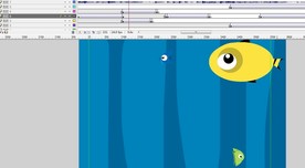 傲慢的小鱼20秒