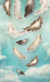 羽毛蓝天白云玄关屏风艺术设计背