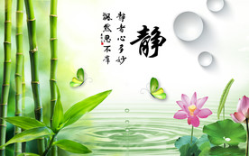 清新翠竹莲花蝴蝶3D电视背景墙