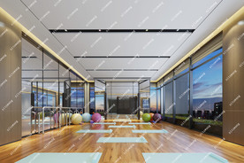 时尚瑜伽室健身房3D模型