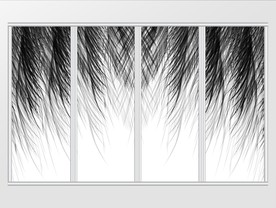 现代简约黑白羽毛移门