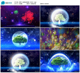 黑鸭子 山楂树LED背景视频