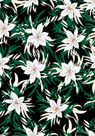 白花绿叶矢量图