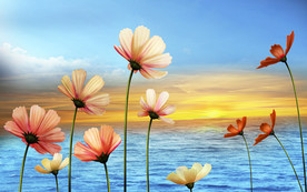 清新海景向阳花电视背景墙