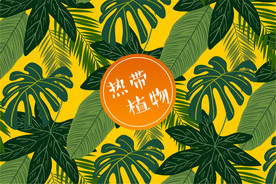 矢量热带植物背景图