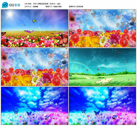 飞呀飞 舞蹈LED背景视频成品