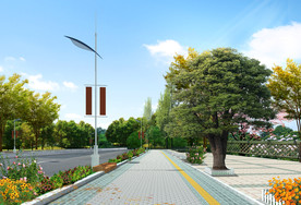 道路景观 道路绿化