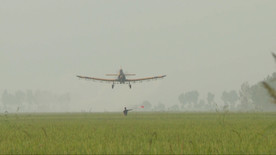 水稻飞机航空作业