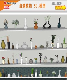 植物盘栽SU模型