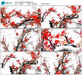 梅花泪 舞蹈LED舞台背景视频