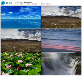 自然之声 瑜伽舞台背景视频成品