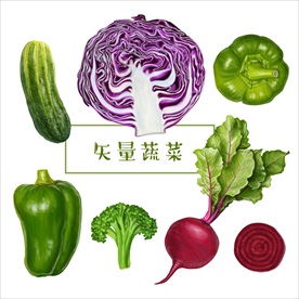 有机蔬菜青椒黄瓜红萝卜西兰花