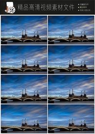 带通道的粒子花海视频素材