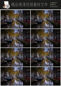 带通道的粒子花海视频素材