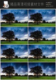 唯美跑道绿色森林实拍超清视频