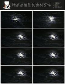 带通道的粒子花海视频素材