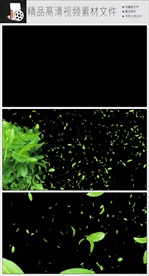 MOV绿色叶子随风飘落视频