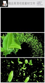 MOV绿色叶子随风飘落视频