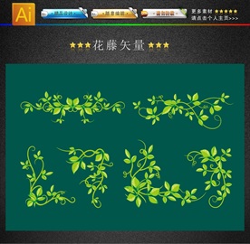 绿色叶子常春藤