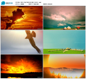 草原上升起不落的太阳 背景视频