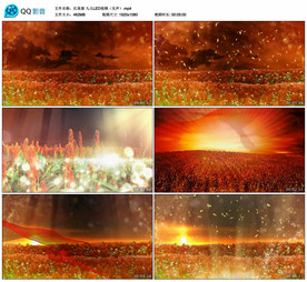 红高粱 九儿 舞台背景视频成品